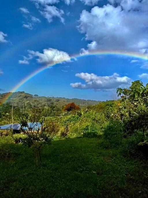 Casa Tipica La Cruz Villa Monteverde Bagian luar foto