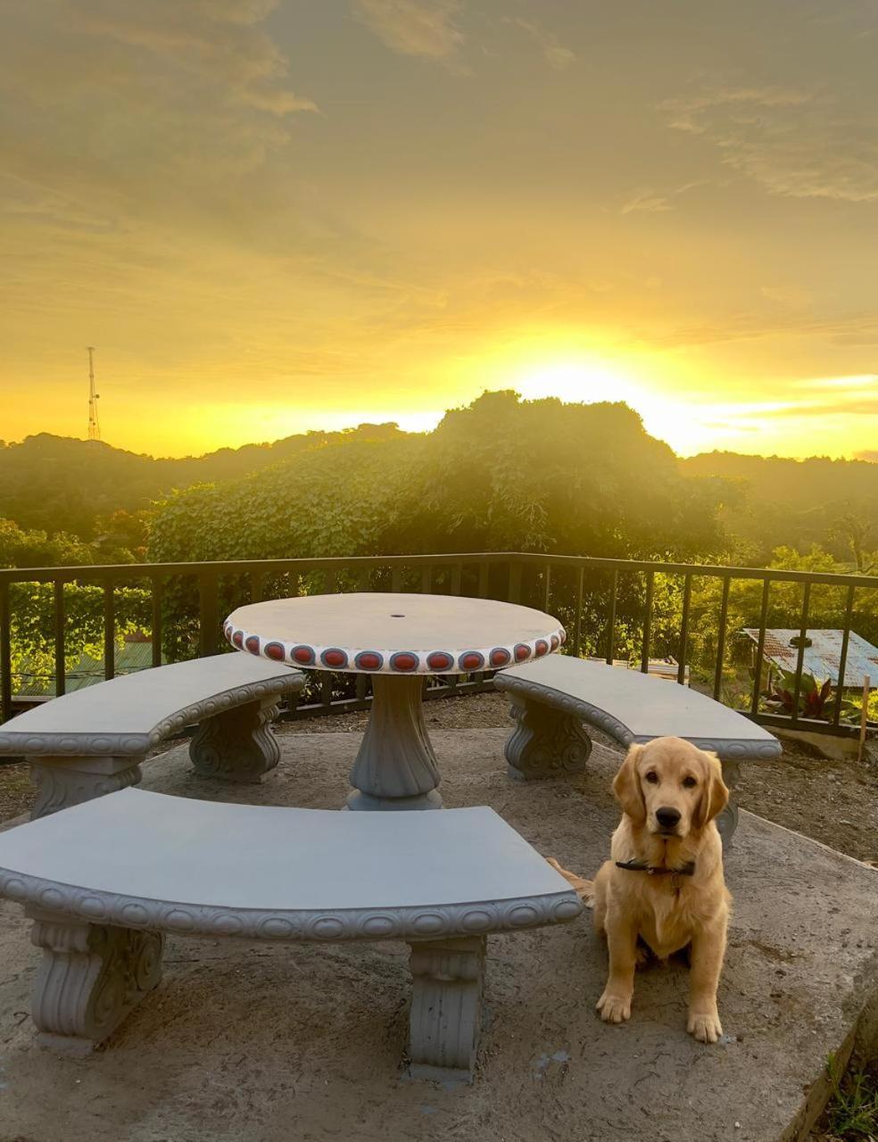 Casa Tipica La Cruz Villa Monteverde Bagian luar foto